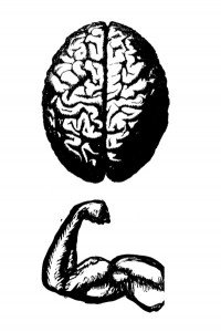 LS4-brain-and-muscles