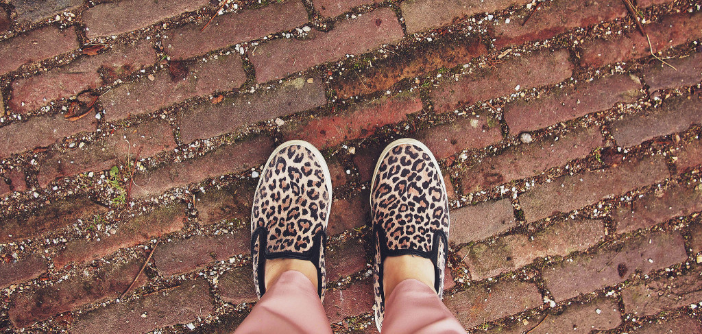 Ready for Adventure
